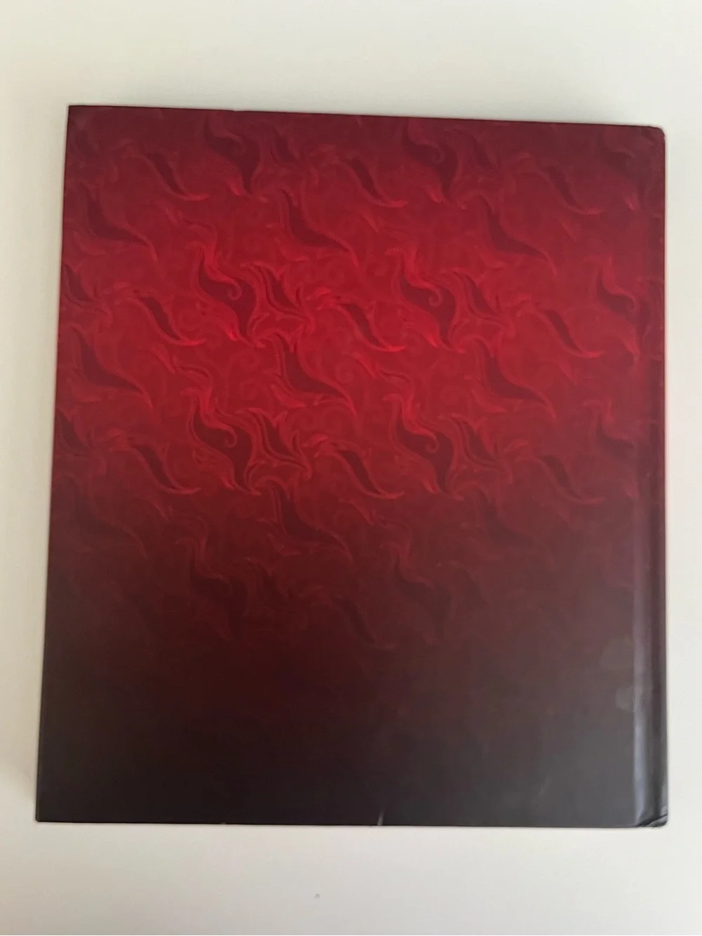 Wings of Fire Tui T. Sutherland A guide to the dragon world Lost Heir